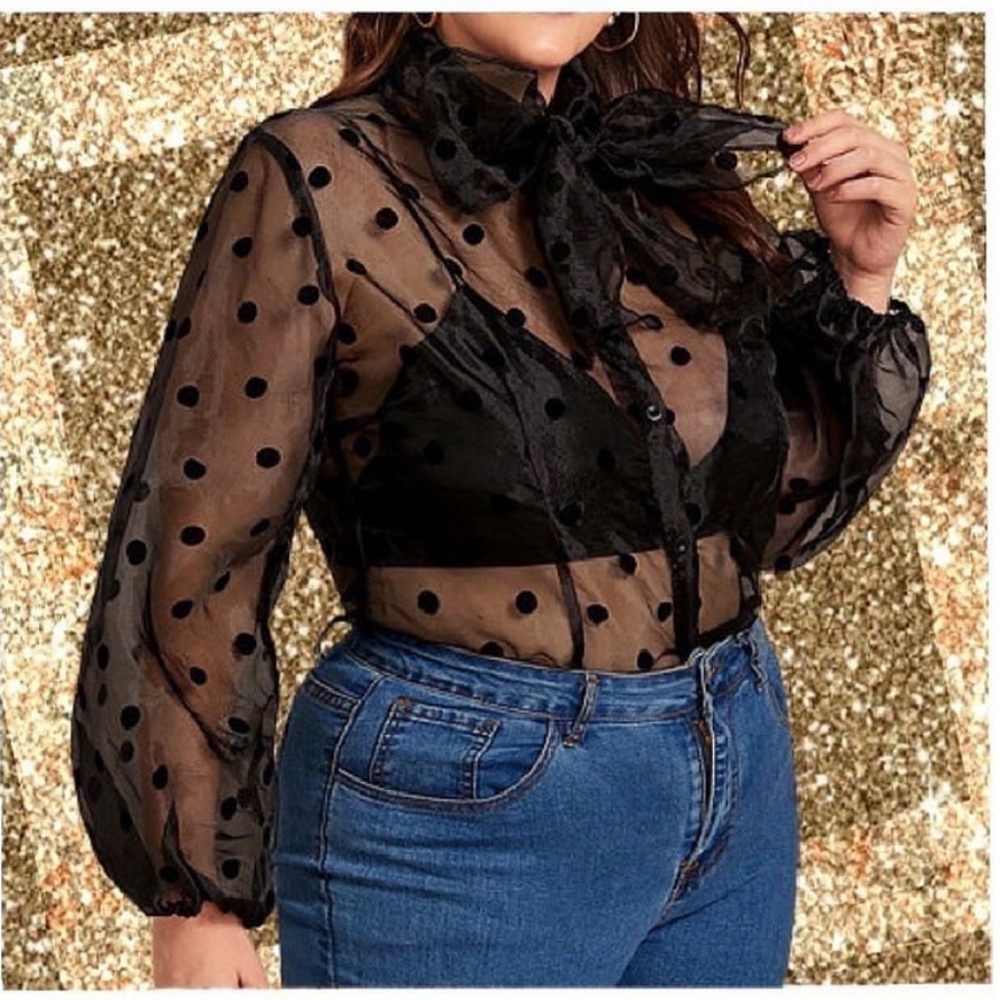 Plus Size Black Sheer Blouse